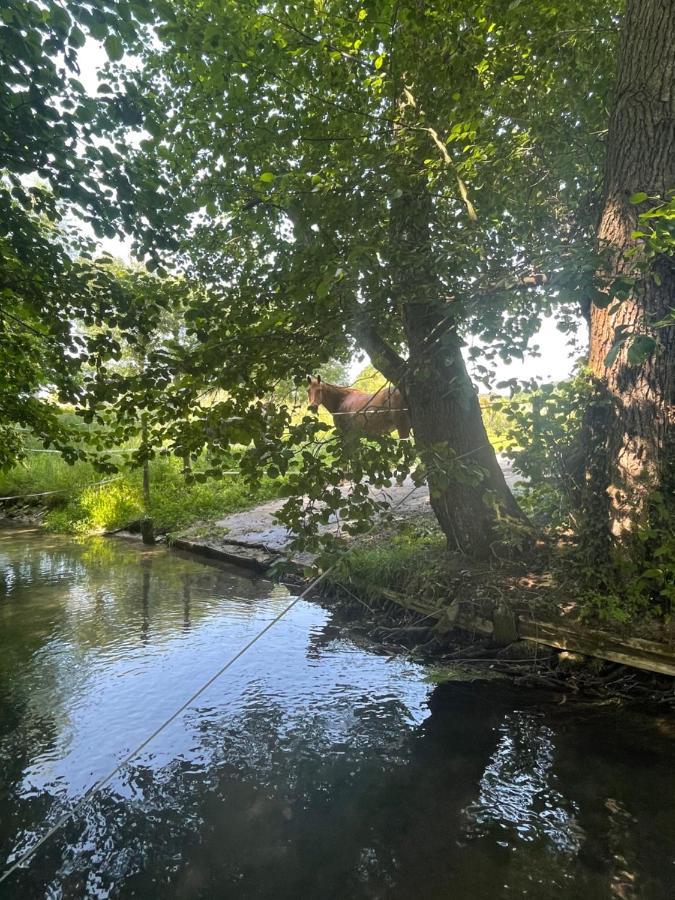 Gite « Le Moulin » A 2 Pas De La Mer Saint-Martin-le-Gaillard Exterior foto
